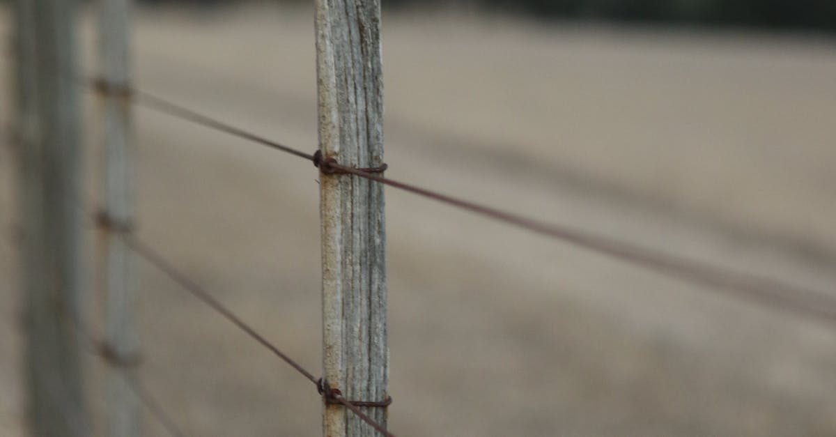 Common Applications of Topographic Surveys in Geelong