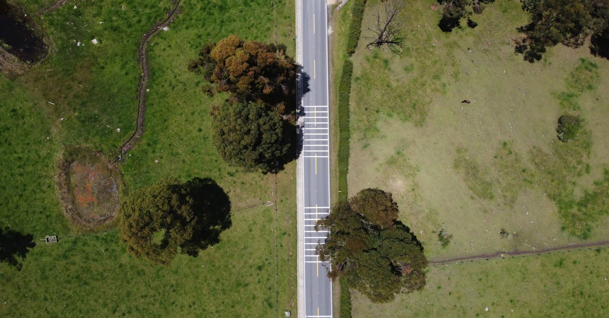 Enhancing Survey Accuracy through Drone Imagery