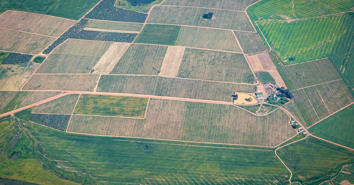 How Boundary Surveys Protect Against Property Disputes