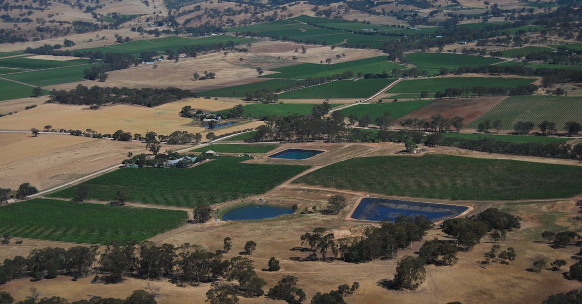 Implications of Non-Compliance with Land Surveying Standards