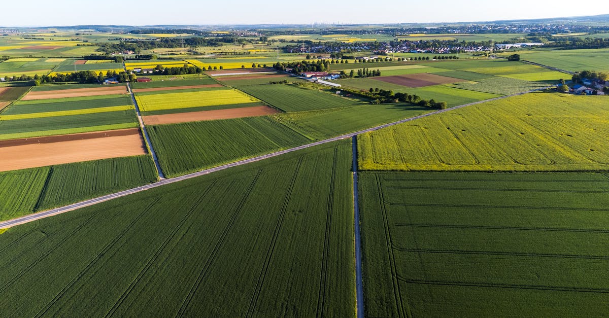 Insurance Requirements for Land Surveyors in Geelong