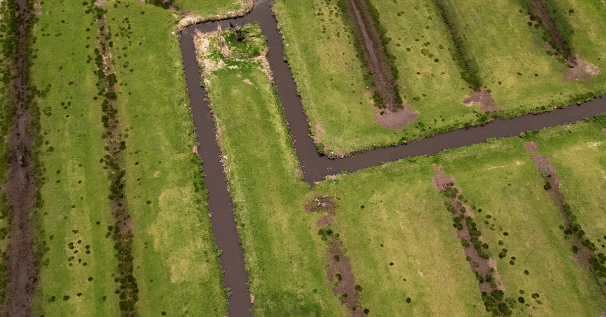 Key Factors to Consider When Conducting Boundary Surveys