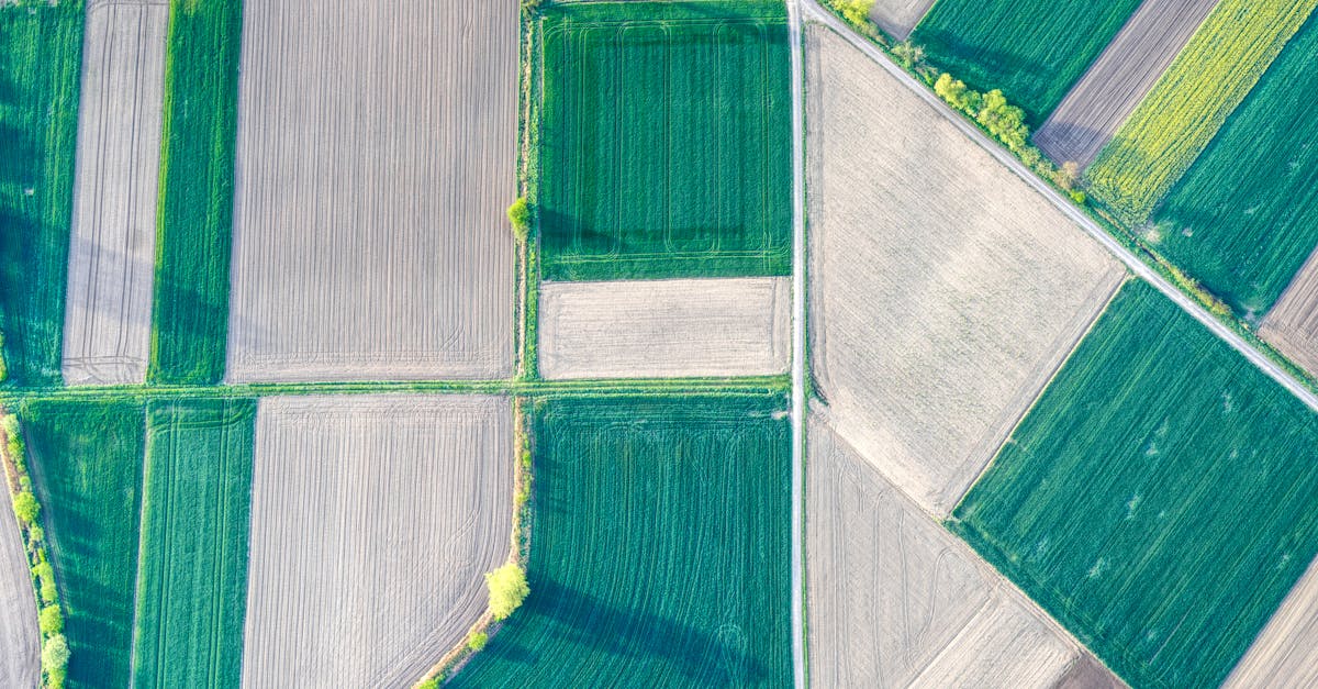 Navigating Title Insurance in Land Surveying