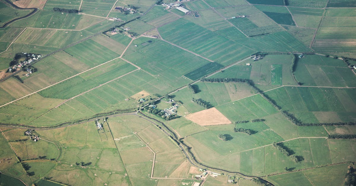 Strategies for Effective Communication in Land Disputes