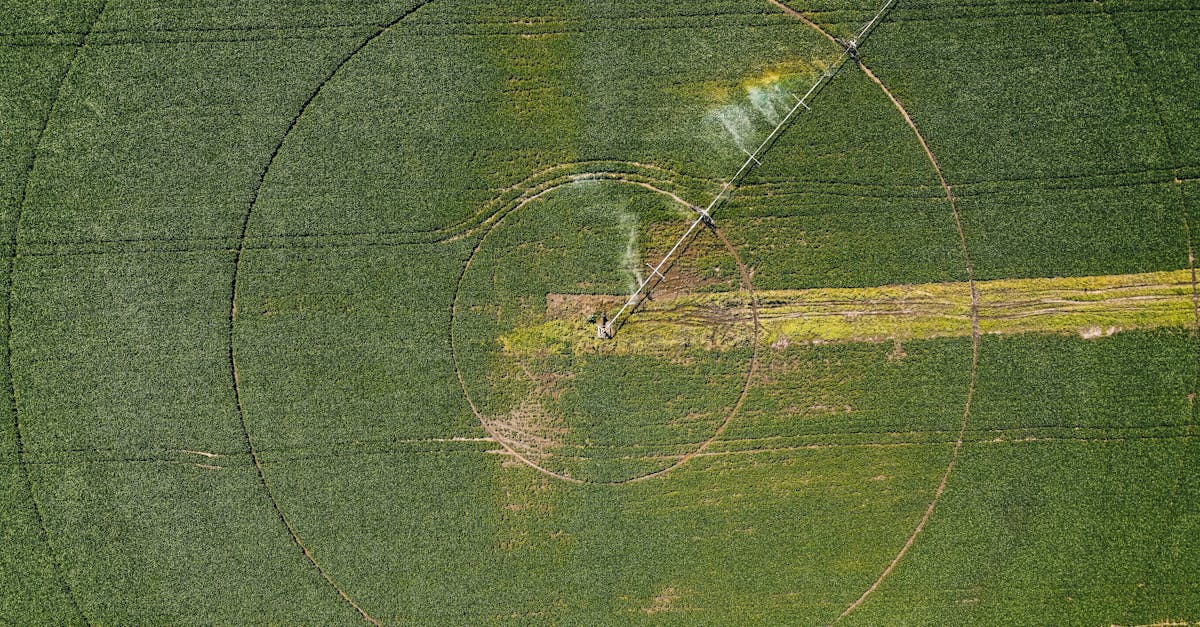 The Impact of Environmental Legislation on Land Surveying Regulations